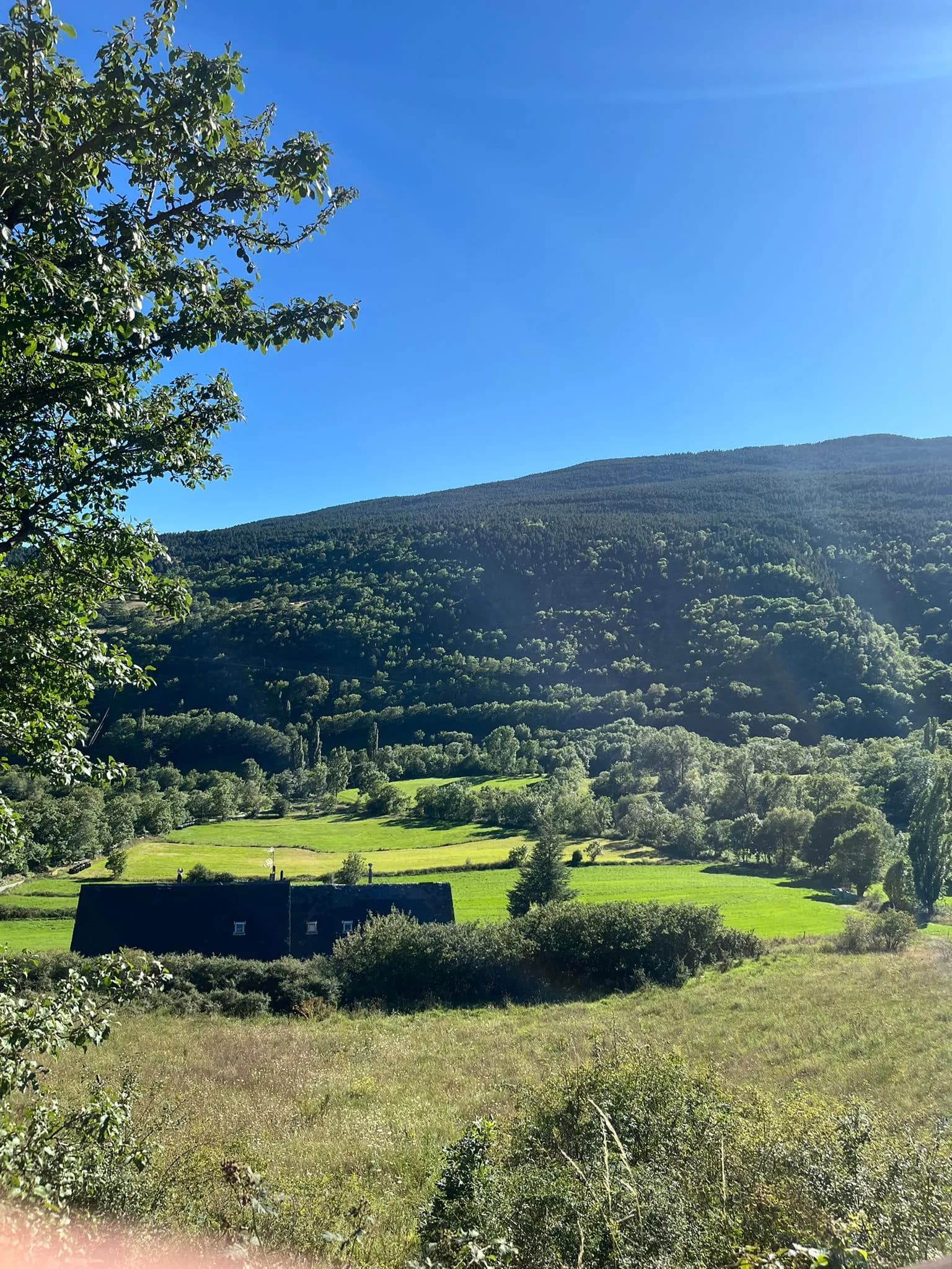 Foto de perfil de Yossef Errazik